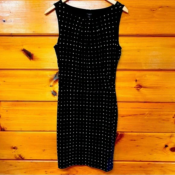 Ann Taylor Polka Dots Sleeveless Round Neck Black White Petite M Lined Dress - Picture 1 of 4